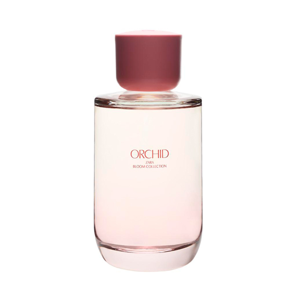 تصویر محصول عطر زنانه ارکید زارا 150 میلیلیتر